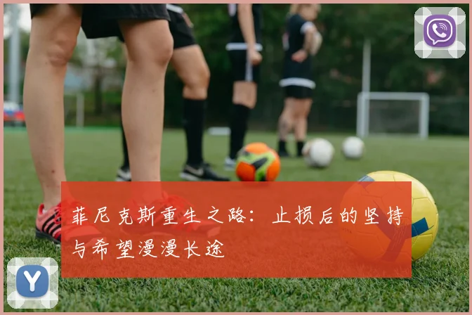菲尼克斯重生之路：止损后的坚持与希望漫漫长途