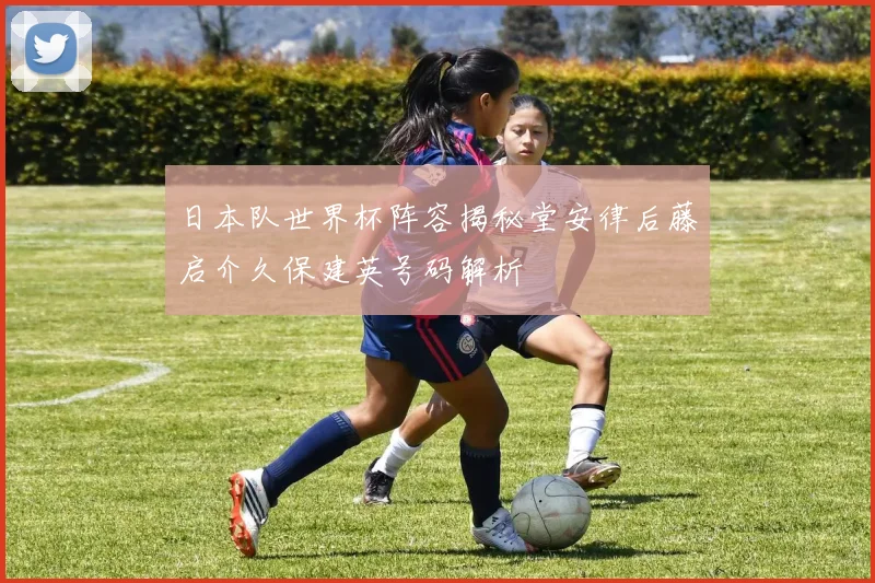 日本队世界杯阵容揭秘堂安律后藤启介久保建英号码解析